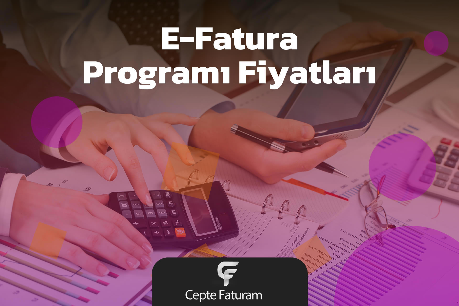 E-Fatura programı fiyatları